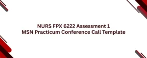 NURS FPX 6222 Assessment 1 MSN Practicum Conference Call Template